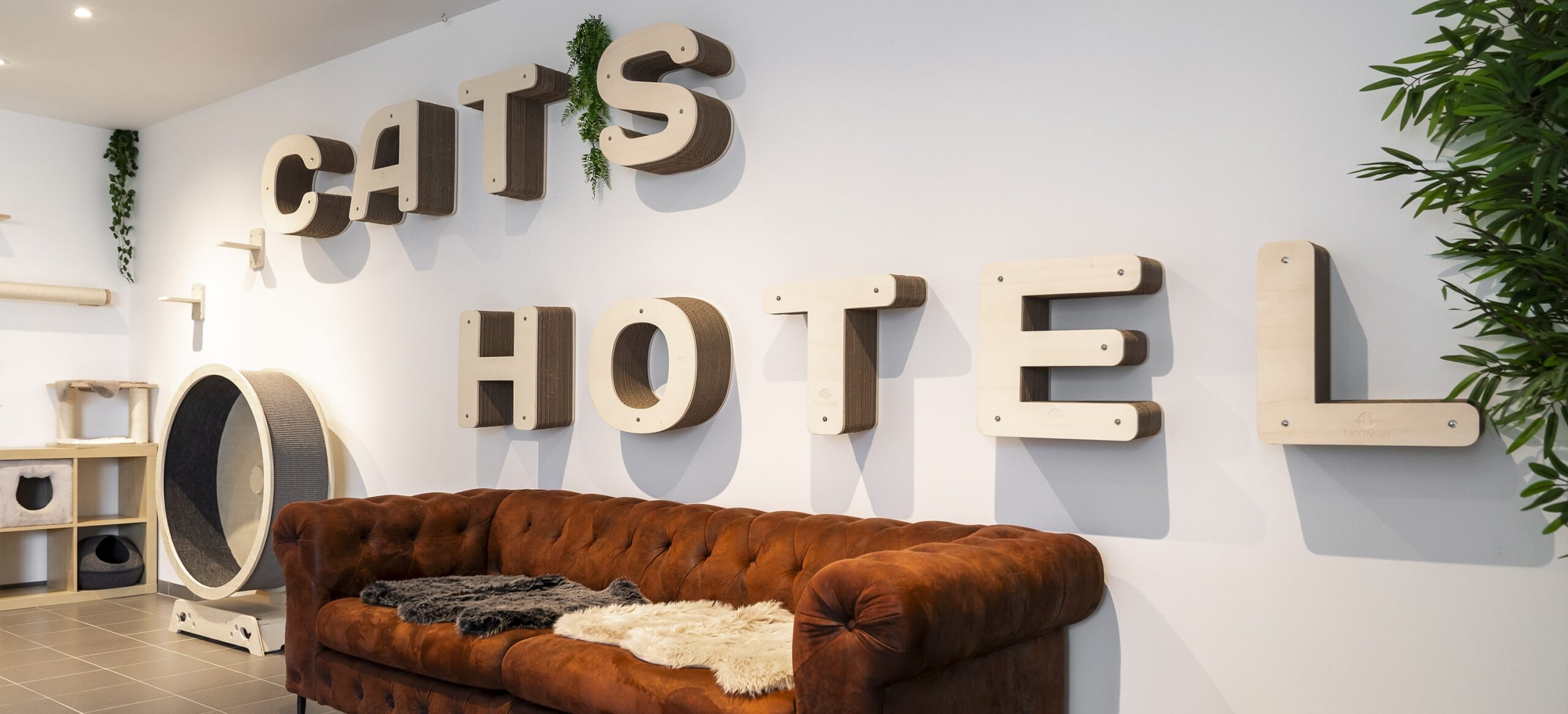 cat's boutique hôtel