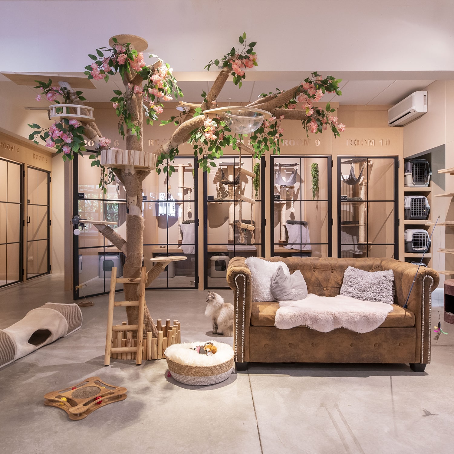 UCCLE - Cat's boutique hôtel