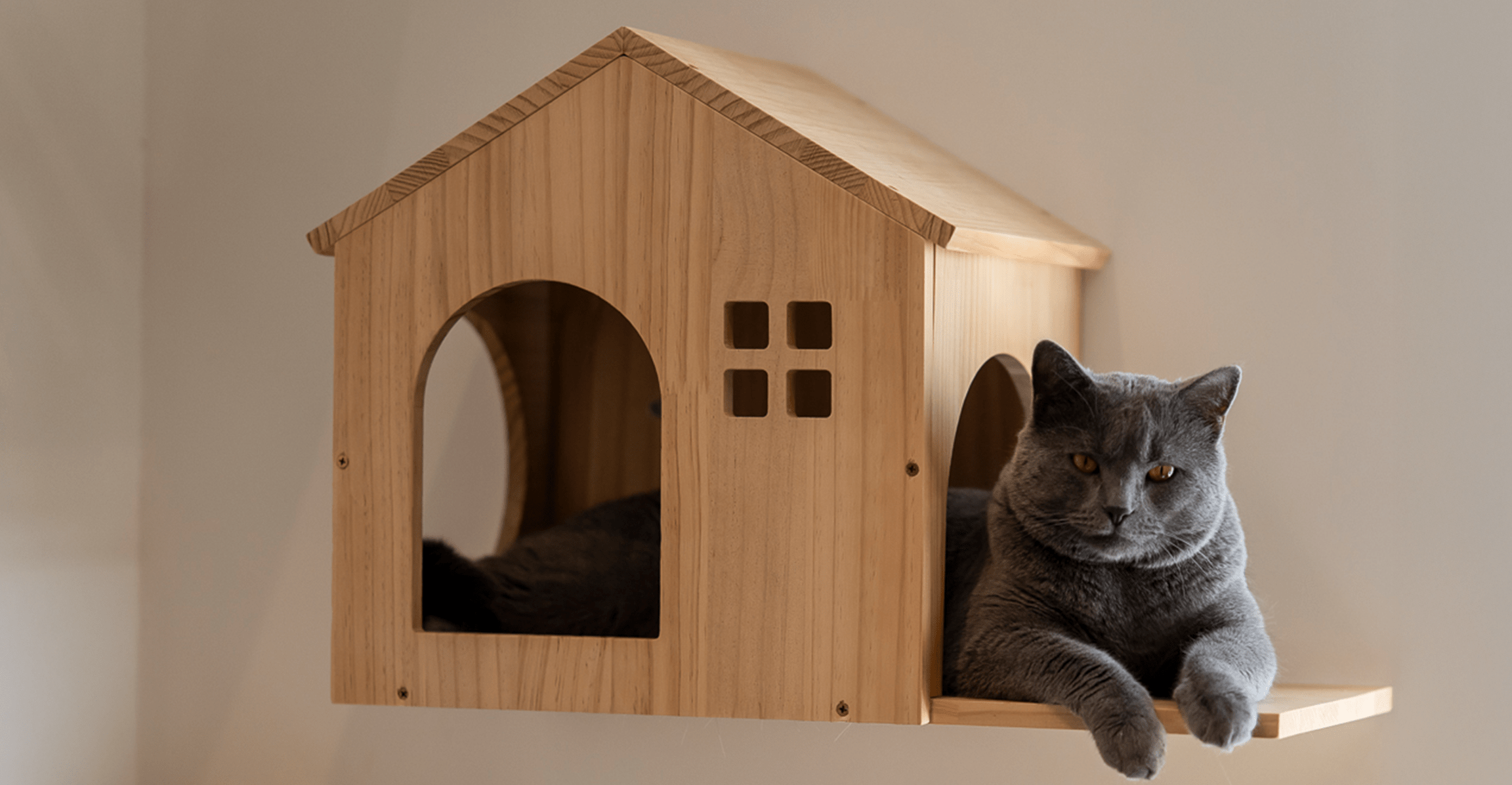 Devenir Franchisé - Cat's Boutique Hôtel