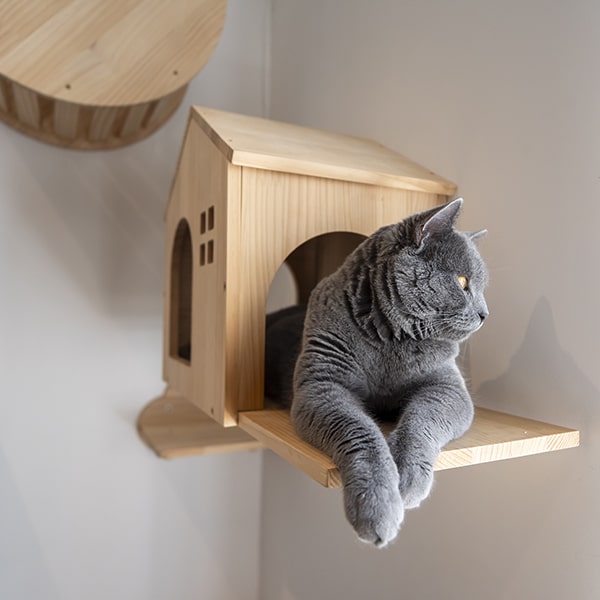 cat's boutique hôtel